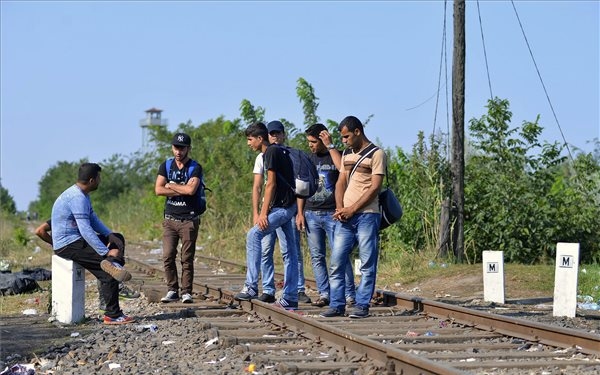 Több mint 155 ezer menedékjog iránti kérelmet regisztráltak